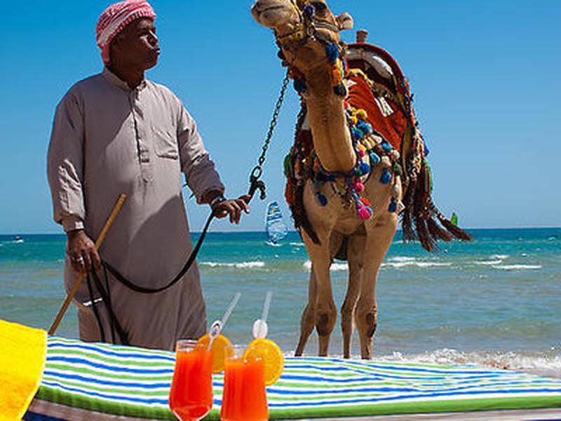 4BBEC99A675D3A41C1D769E9D1CE1EBD