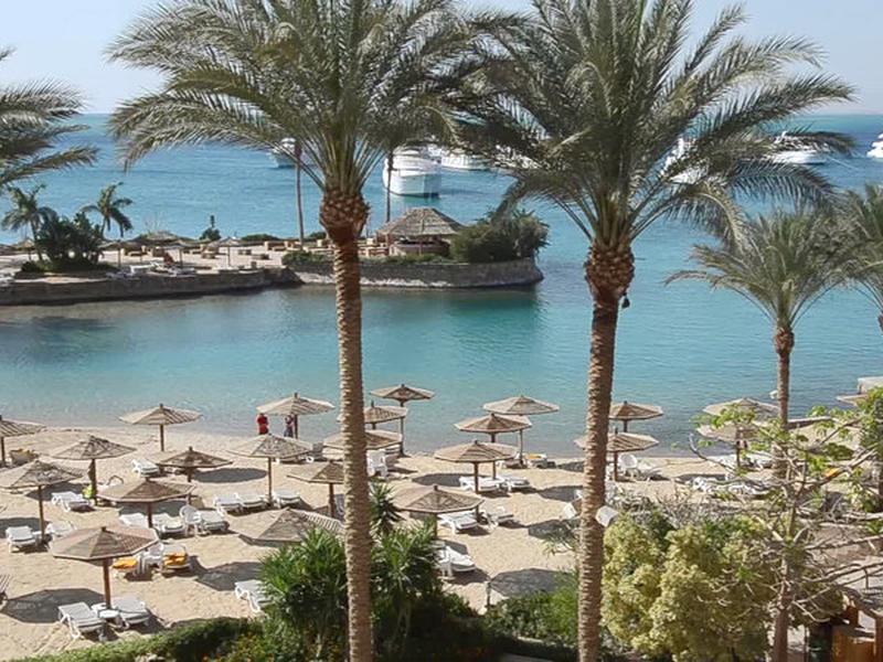 29ADA22B8E069748B768E146C4CA2038