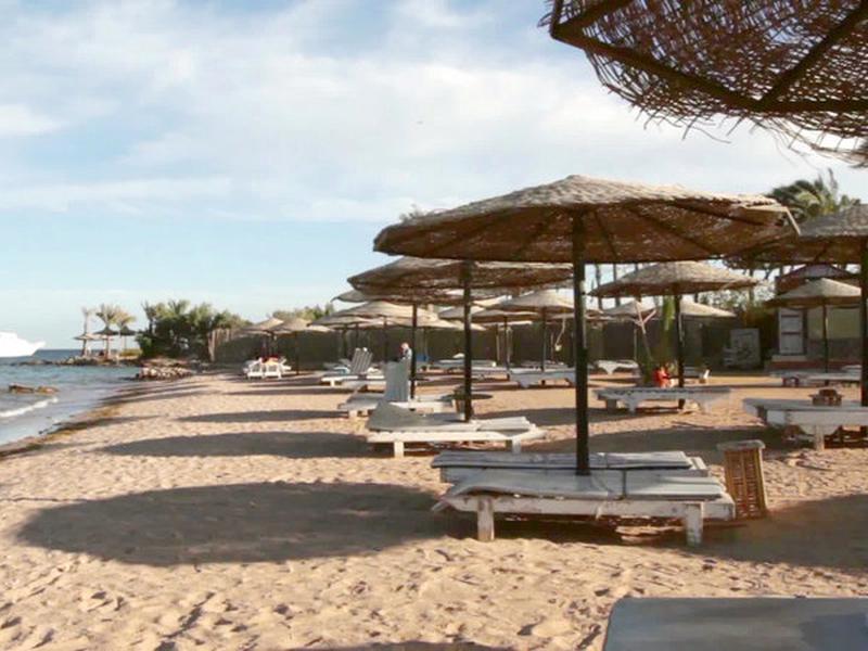 84390D94C8E81EE979751A31553351F1