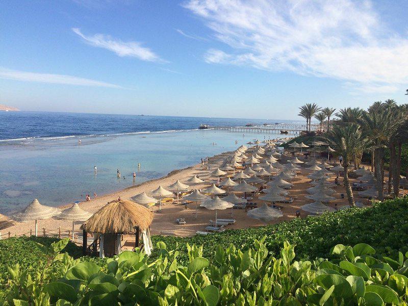 926B035E14343E44C6621EA77E727BA6