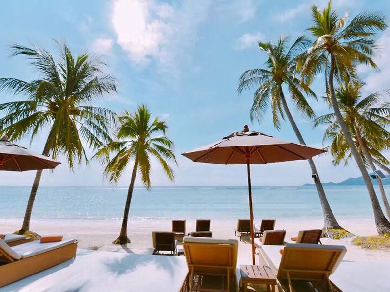 7C863E147694339128B19098AF8B7504