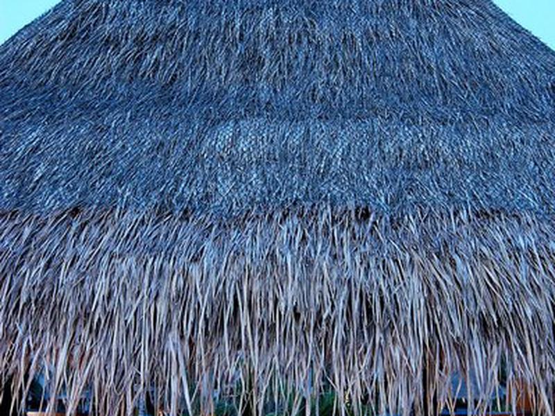 0AA58D431C86C39D687F3C573B5DD273