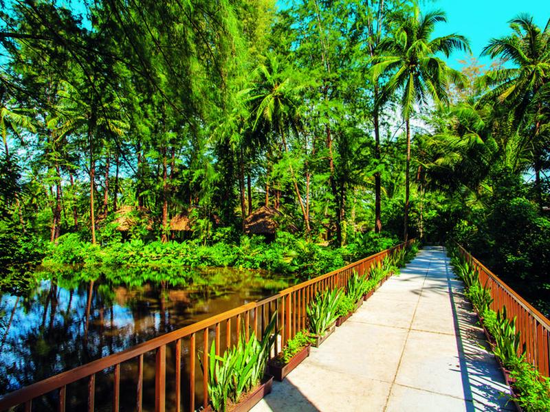 ED891812DF4F39C8EC97A805DD27B115