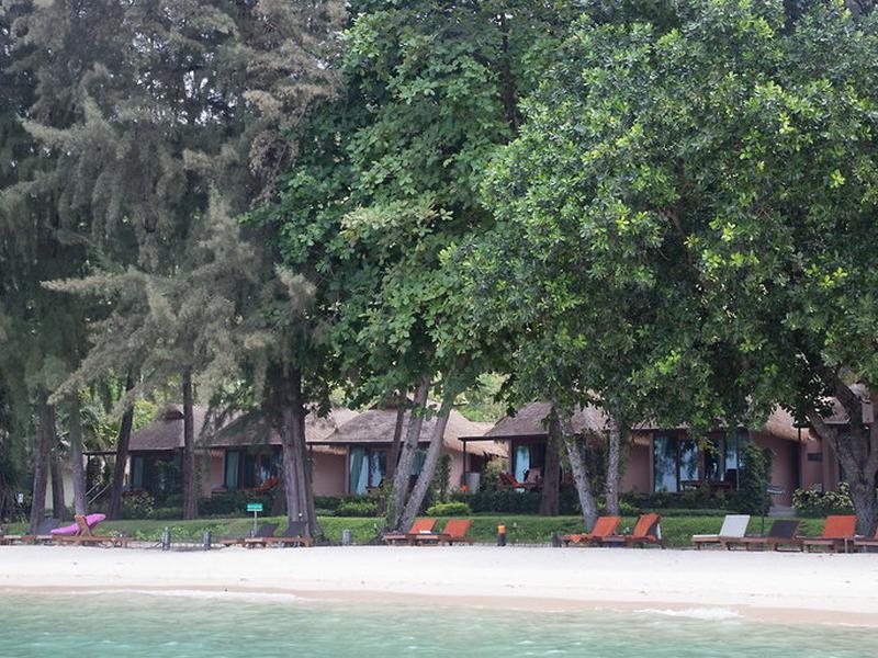 DBED58D7335098C56C0F0CF39CFF88F2