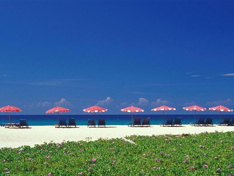 51D8EA197031BBCBEBEBF82956C81309