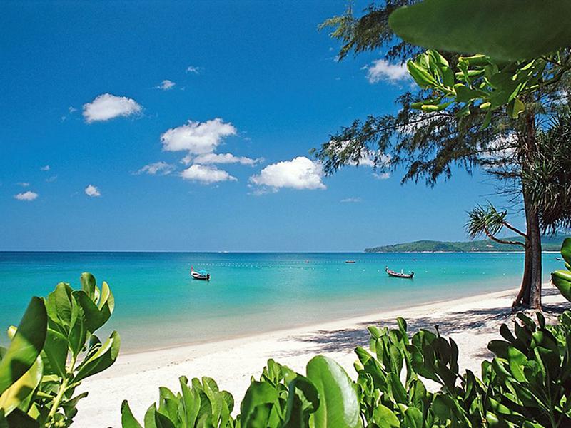 79BDCFD5551D94AE38C5B27AF43F5F44