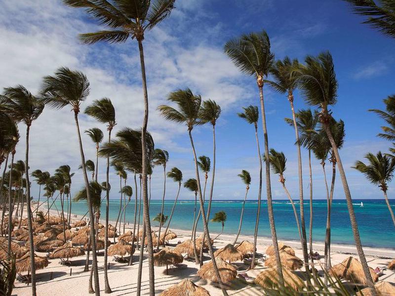 15DECF6DFBB12E2310F8898C9B1B216A