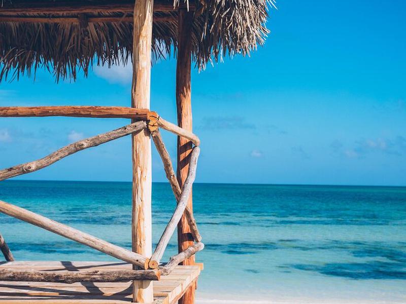 325D858ED4AA981919833C7B5A64F03D