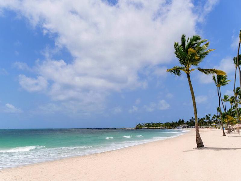 4C6C79A2F2FEF84C93BEF55D73536E80