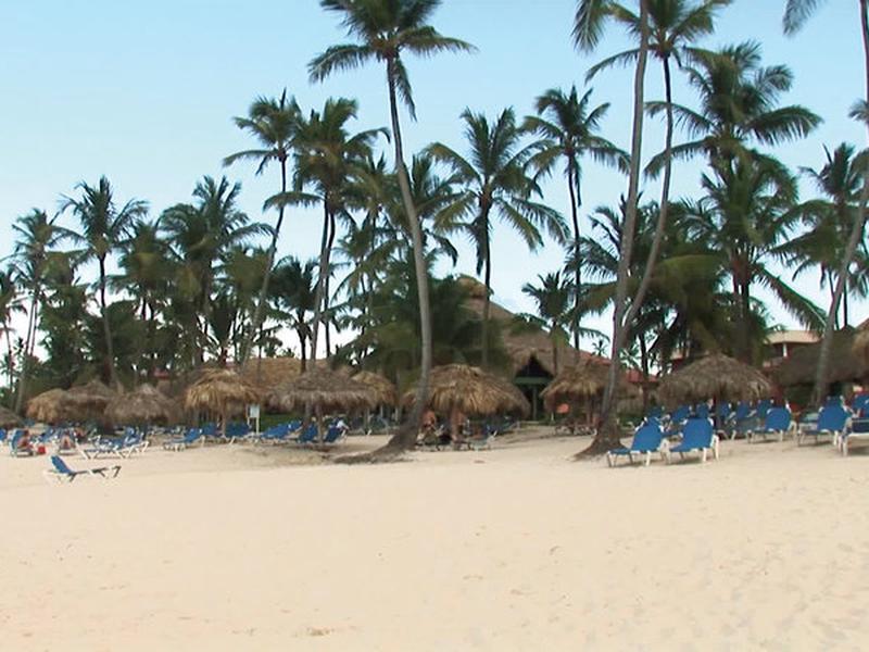 95D61D0B2B4F60880E4C6845422A852D