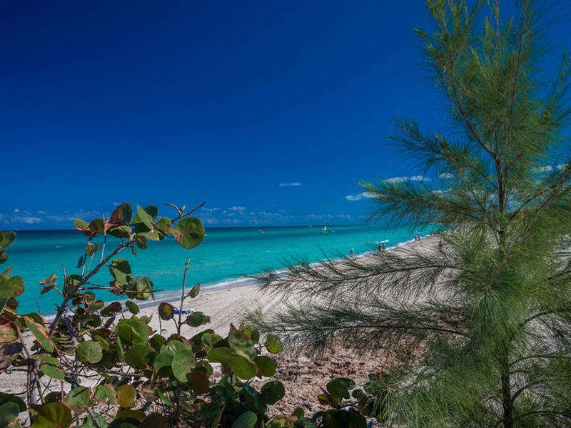 99AA93AE39107415E572F7B347EF71C1