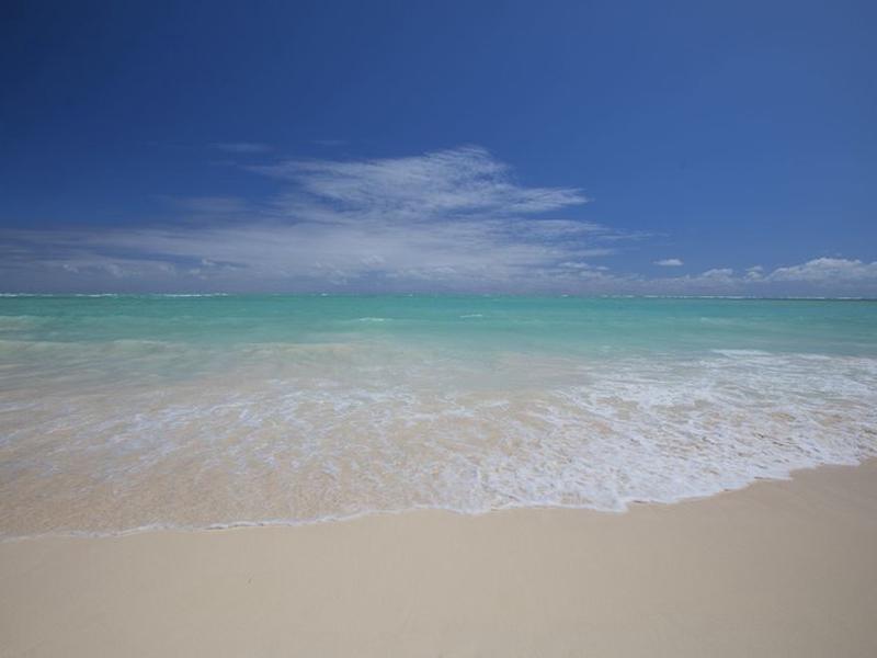 F3A07C7EACF7C8C2EFDEF52149950069