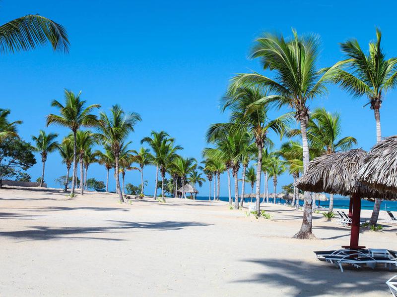 248A6A01AE29DAE46CFB7D4D1FE1E309