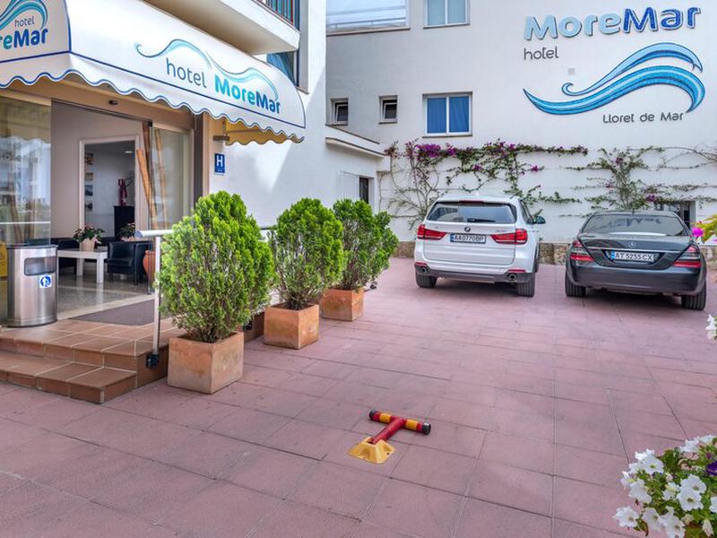 59068196E09BBD90F5B7B2152336C221