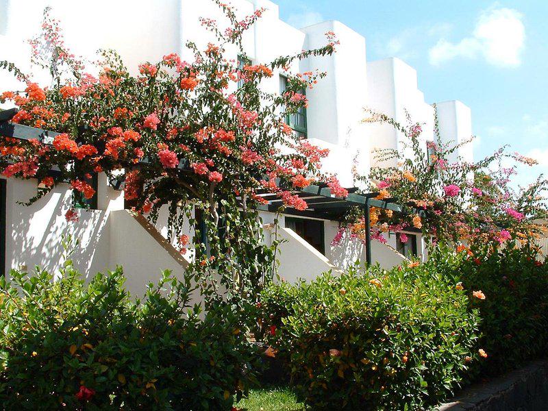 4D4A0D604B8603A9F72BF4288051147C