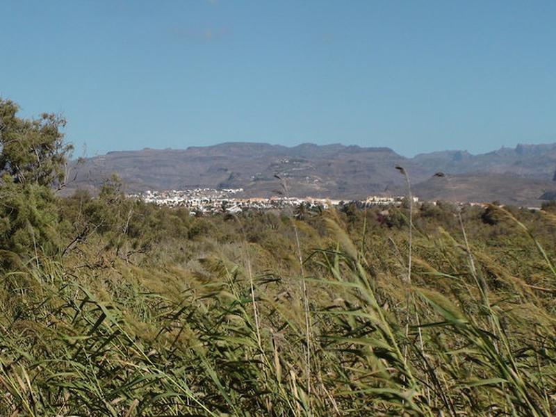 D0F1DF220C9B2B1116A2CA07CF4C069E