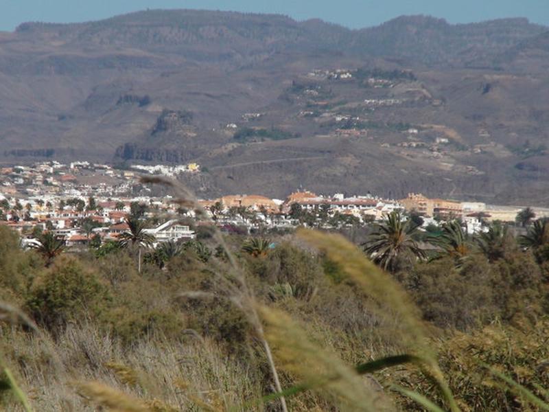 6E56C7A3D9ED563901112201AB9A428A