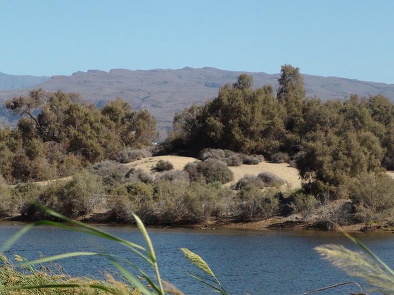 38C93DA9E49D65D8CBF37D395CAF93C5