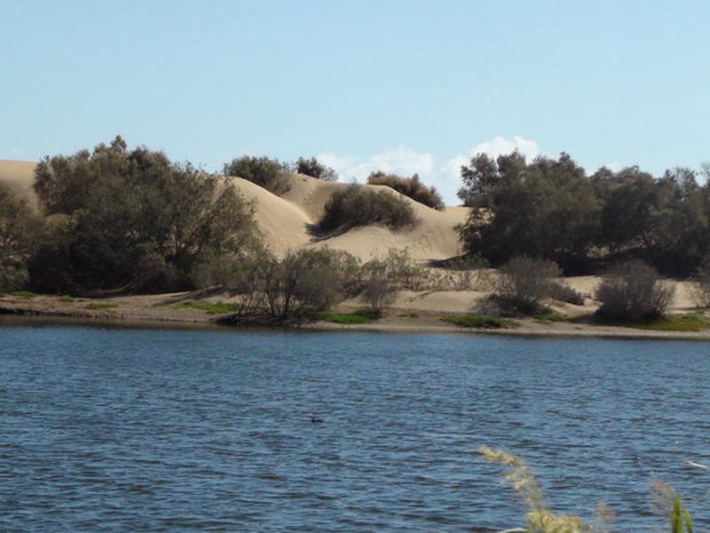 CC0DBE6D46C2650D604F432CA5A2E803