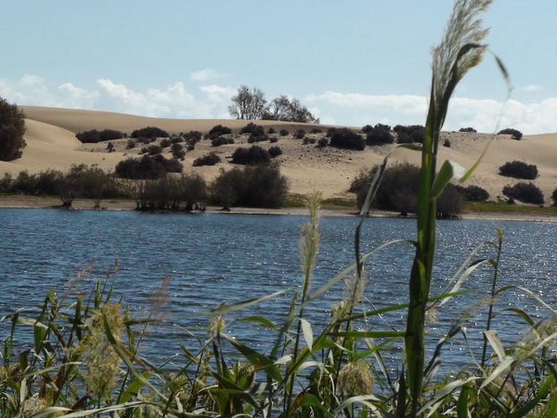 3CF022EC5C83A5A2DF5EE6497BE4954E