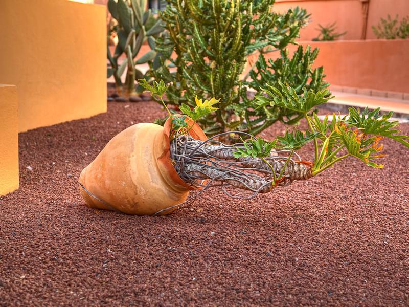 73FF8FF9C23123584B904AAA17579EC2