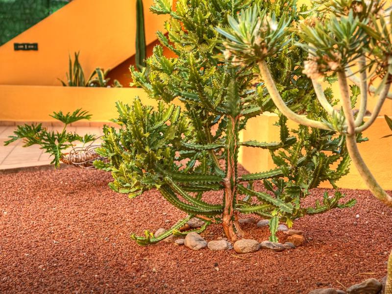 F08F956FF90E07DF1FB7085B17E06111