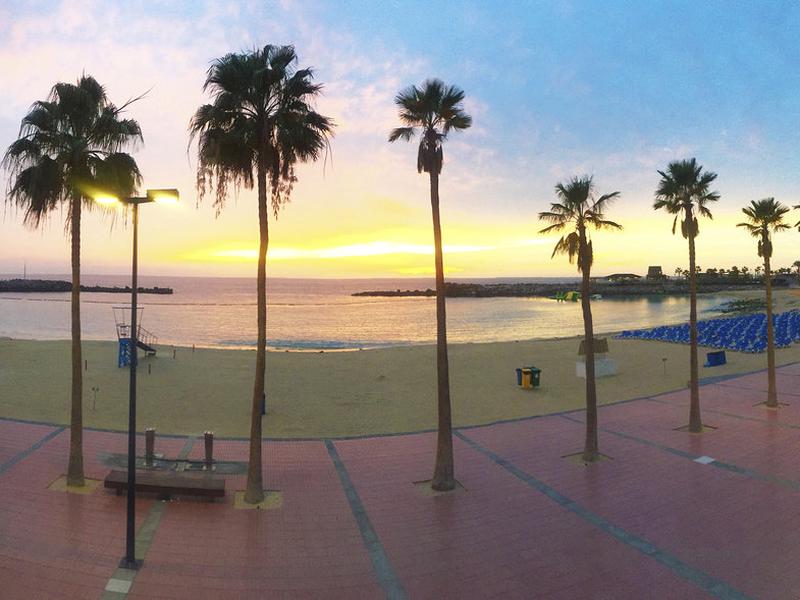 1CF9CEF595D9F80D1ECF8E683BB059CA