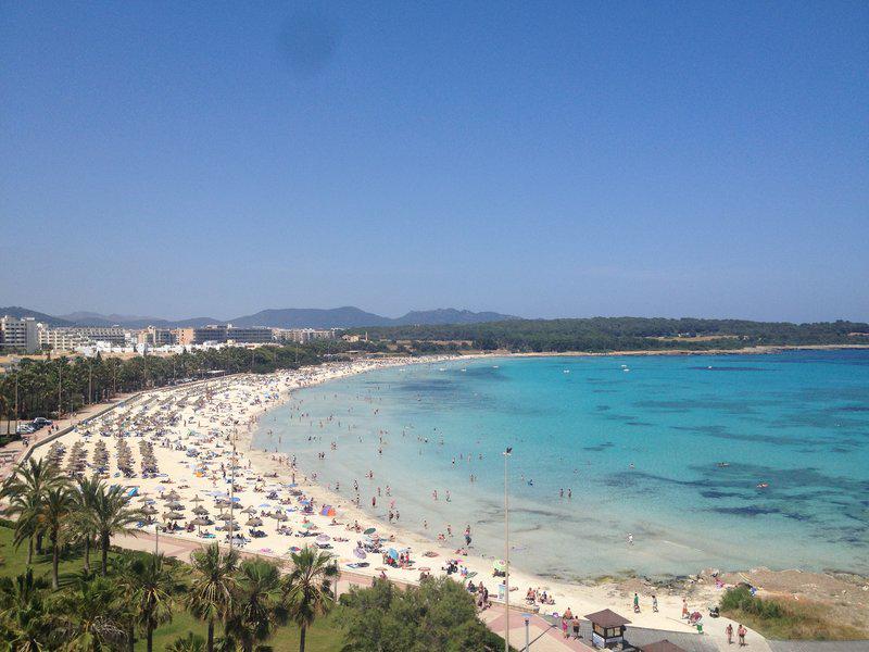 6C2F2EA6BE7250C0DA82C388B72772E8