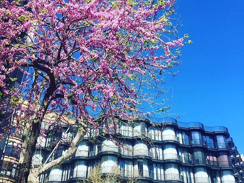 F69B2ADA32C7F796C405F284F92C43A6