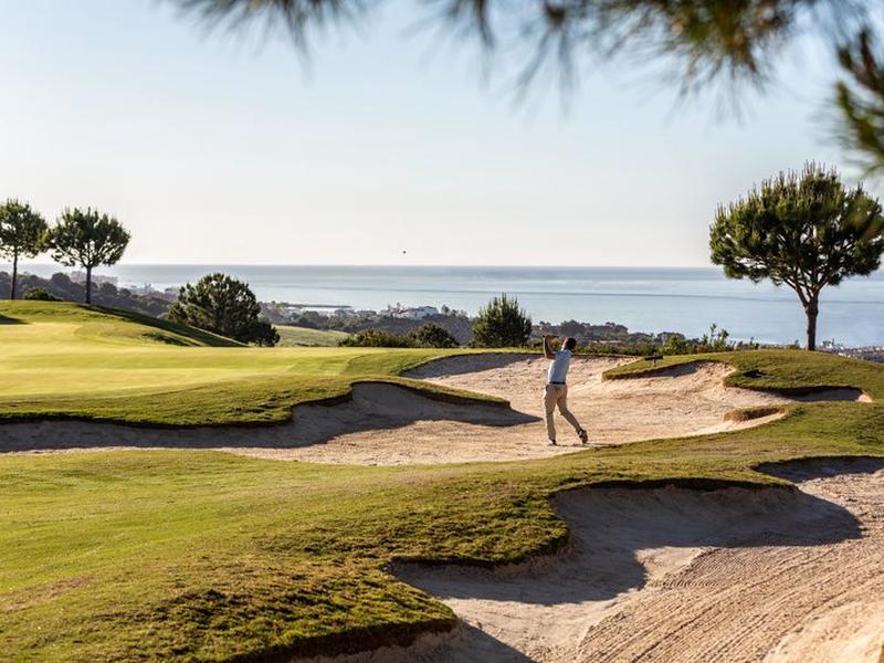 D88197CE2A8C1DED1F914A772D7B8ADA