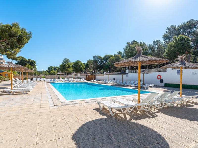 2940ECF1E81F9BC89C5F4CFC6A09F4FF