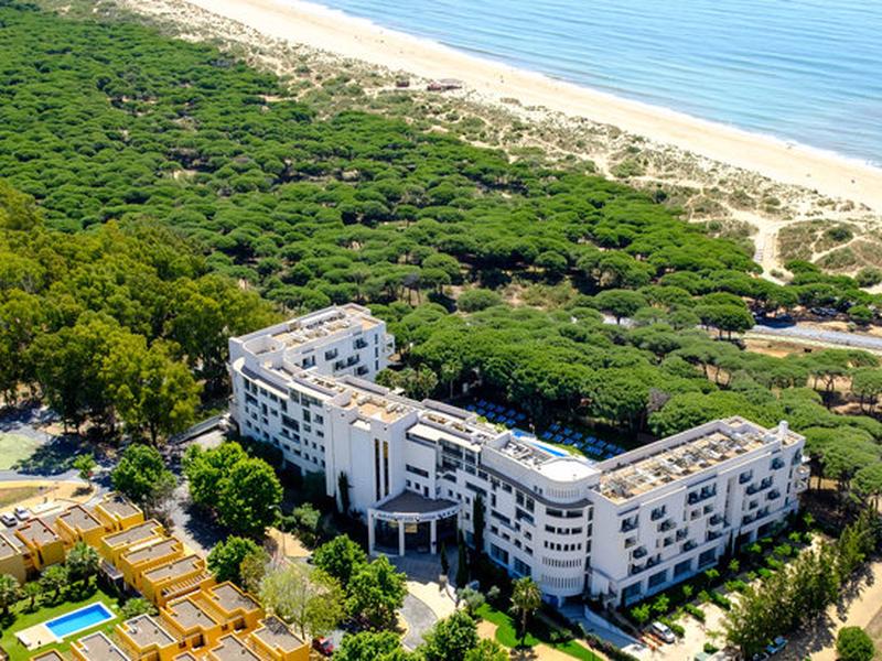 E85A8E77751F81A2FEB5C88ED00B8EDA