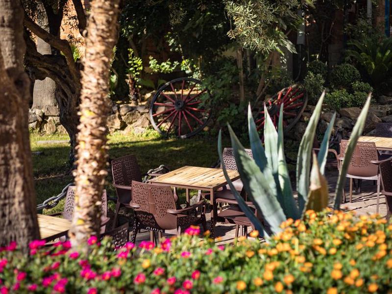 8687E5623F2D6FD3FBD47F0D4547E8D4