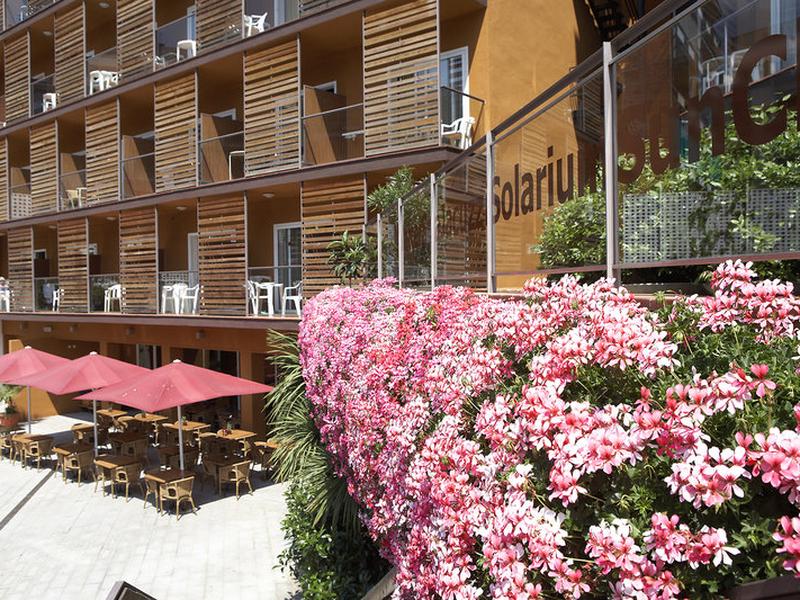 6D8899975C2287A95F61C0F454BEA951