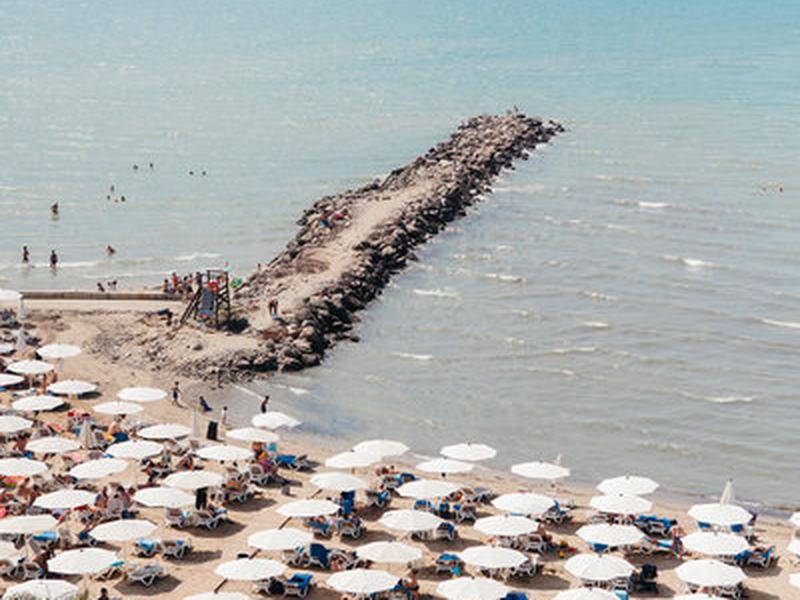 869507C1B6AA4569FB472B4BE8BD72AB