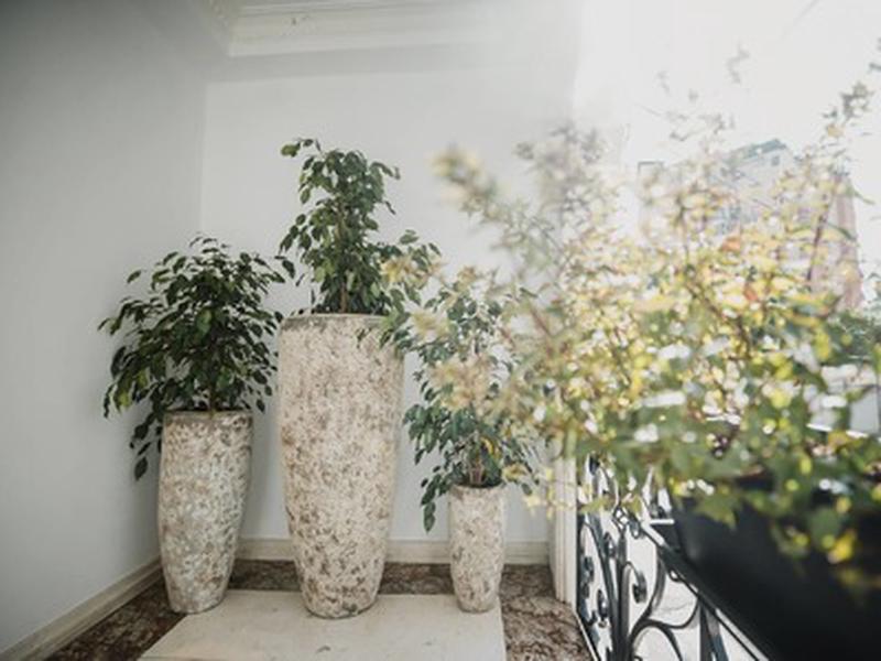 565C30CFC561C32414EF83CD61EE0490