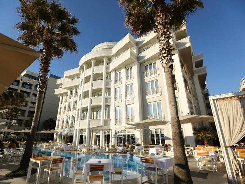 62F91A50E255163931076D8BBE92A631