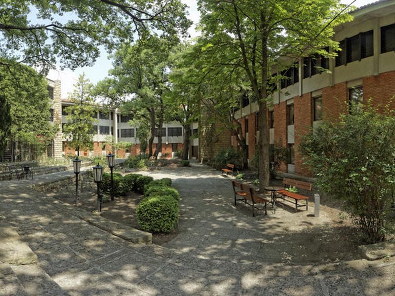 3BC5007E96D7AF3D61DD338E82B82307