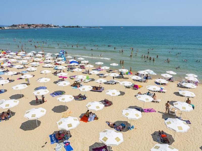 5E9E0382EF3E7649B3D54ADF354D039A