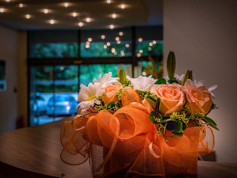 31B1EC09772490F9E506B1C7D6AA6843