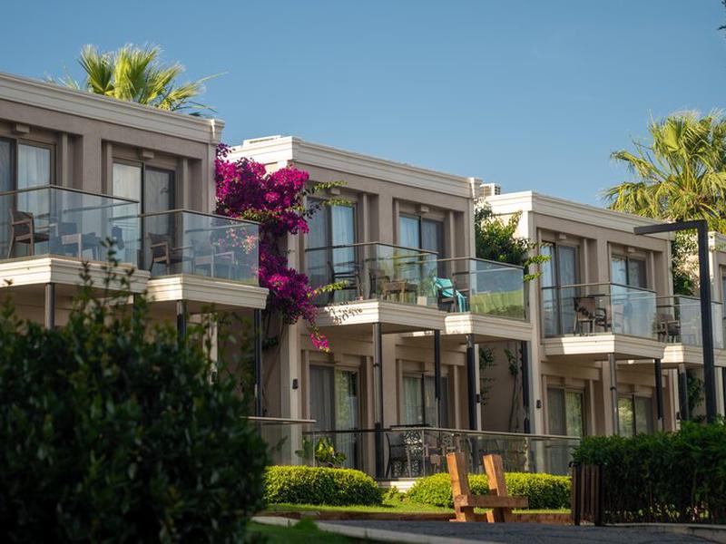 C601D156FA5490722EA9C71F7892A79D