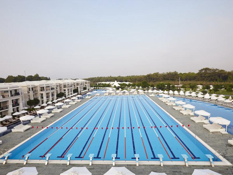 DD7822762A7BF13C2DB89FE501FFA6C5