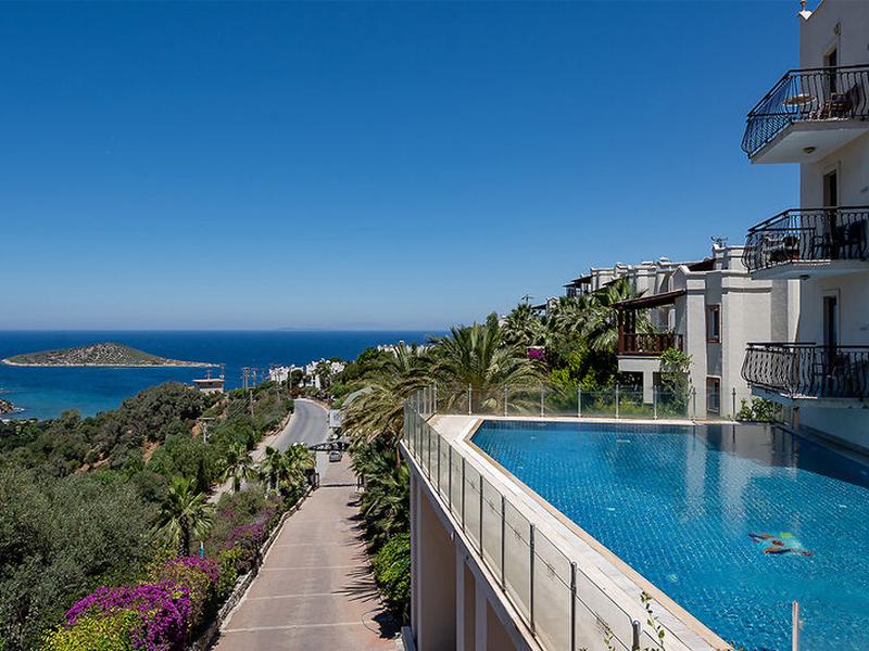 D1E97AD5D348AB845A81DDC8A81CF1FE