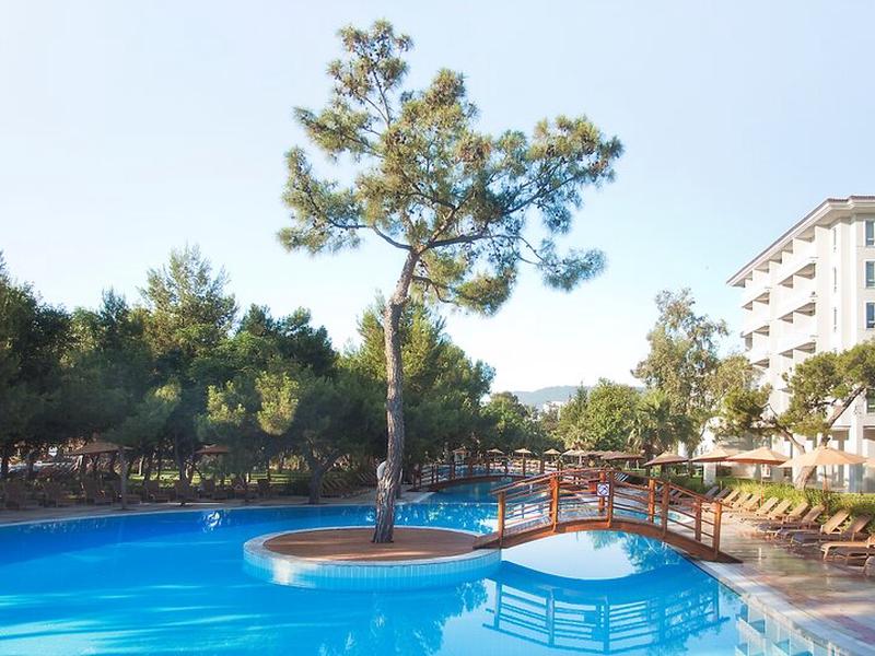 C899728AE9CC18679AE7EEF9F08976A4