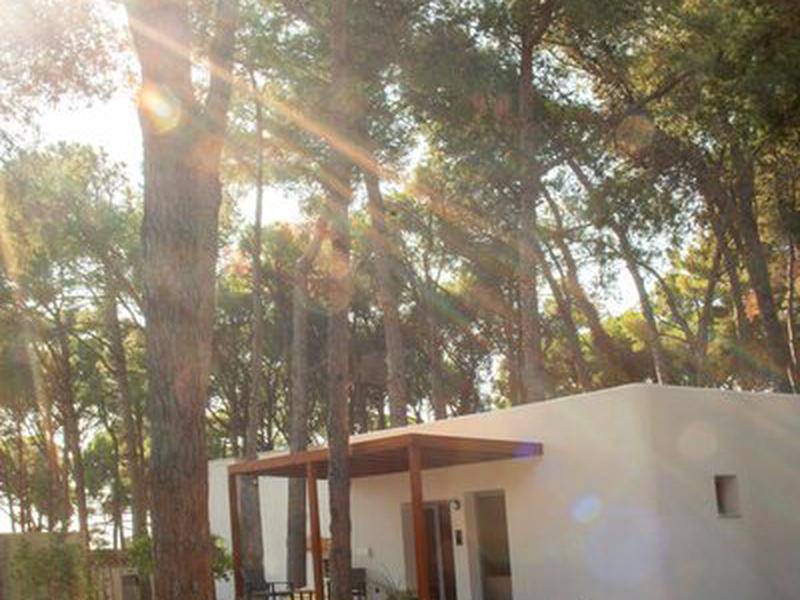 A4A7D3592202B9A797CDE3A68A3C931B