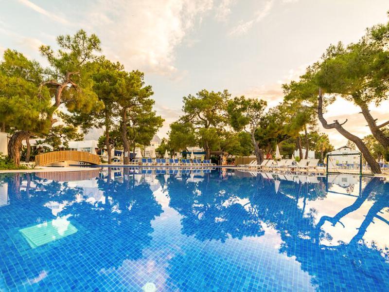 428460ABE18CF4276835FCF8E317CAC9