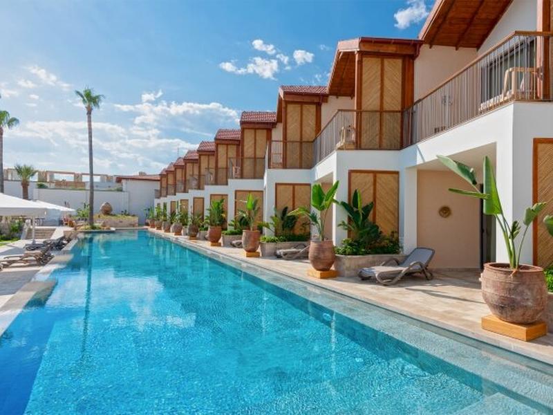 362499C9FD5406D4E7A364F779563862