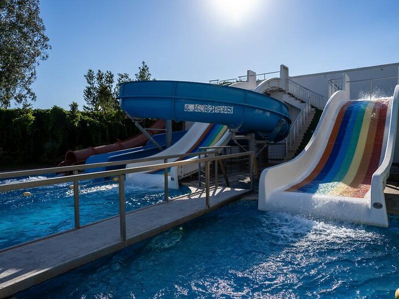 A33DAFB78A626B56FBE3F6855902D6F3