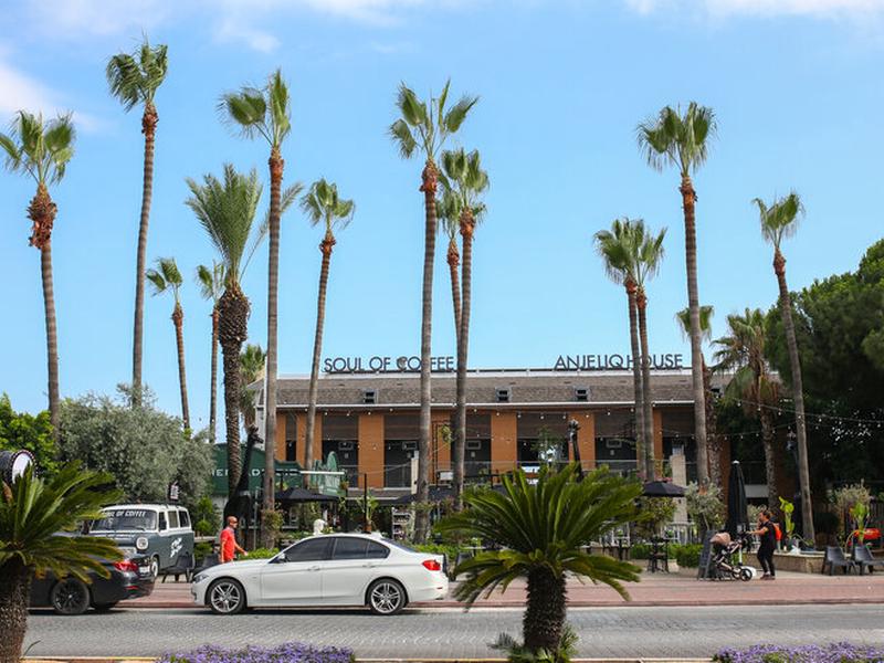 C3B967B324682C203295F51DC4C6BE7D