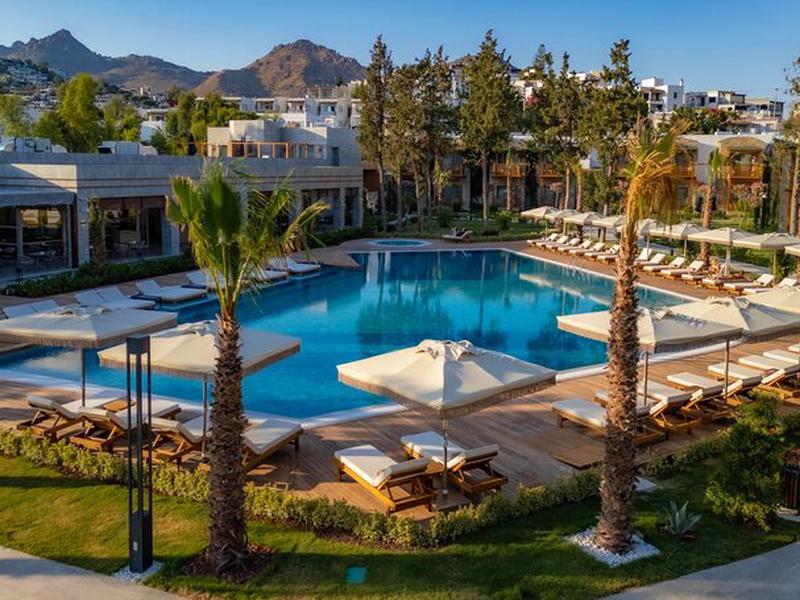 40925F8C619F3CBE8E476087102480DA